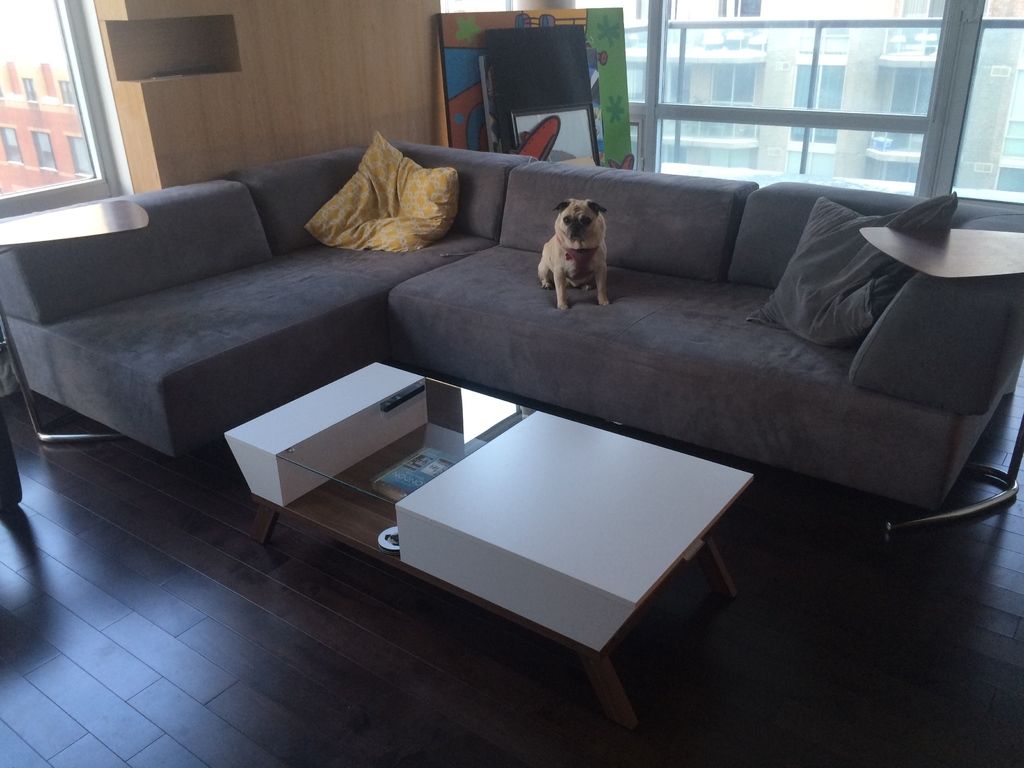 A dark hardwood floor in a bright apartment with a grey sectional sofa